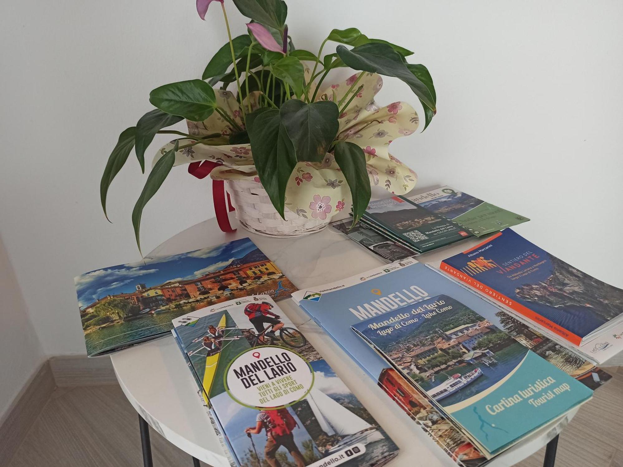 Larius Apartment - Como Lake View マンデッロ・デル・ラーリオ エクステリア 写真