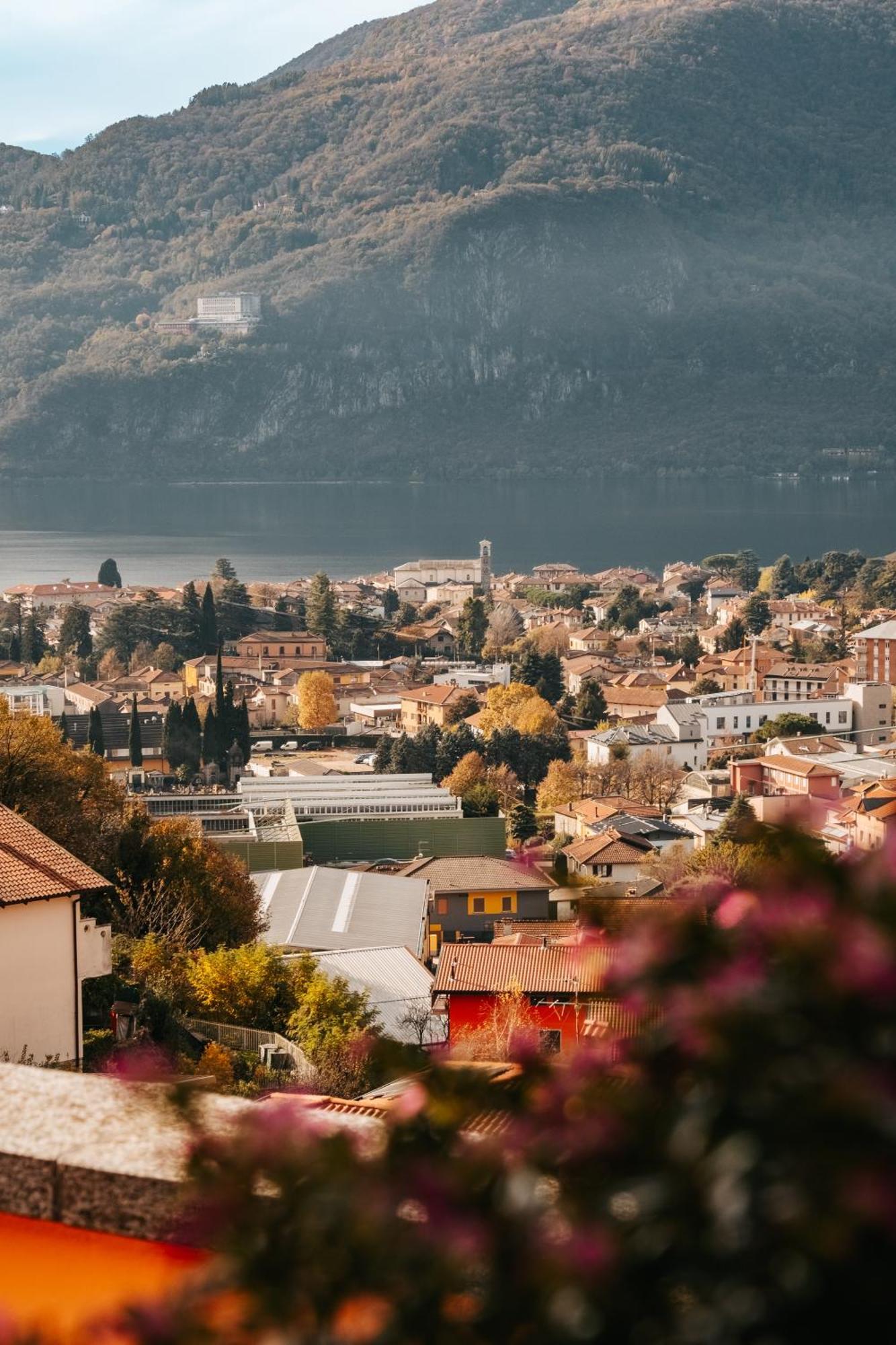 Larius Apartment - Como Lake View マンデッロ・デル・ラーリオ エクステリア 写真